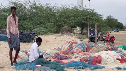 Fishermen struggle with massive influx of seaweed (Photo/ANI)