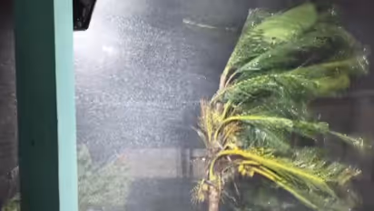 Visuals from Konaseema district, Andhra Pradesh show the impact of strong winds (File Photo/I&PR)