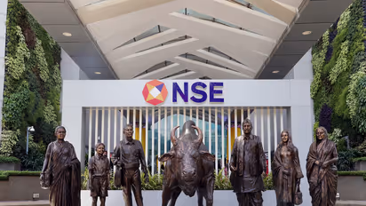 A view of the newly renovated NSE atrium bull (File Photo/ANI)