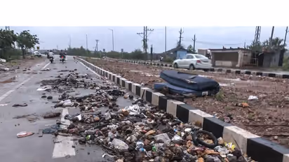 A view of debris including fallen coconuts, branches and other materials litters the roadside after strong winds from Cyclone Arnab battered the area, in Kakinada on Wednesday (File Photo/ANI)