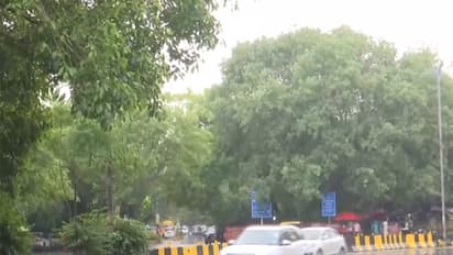 Rain lashes parts of Delhi amid heatwave (Photo/ANI)