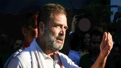 Congress leader Rahul Gandhi (Photo/ANI)