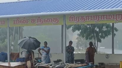 Visuals of rain from Nagapattinam district (Photo/ANI)