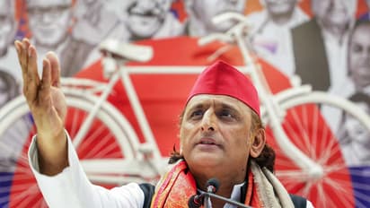 Samajwadi Party national president Akhilesh Yadav (File Photo/ANI)