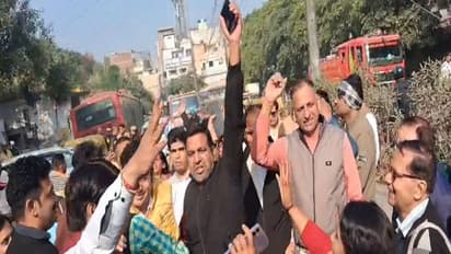 BJP workers celebrate MCD win (Photo/ANI)