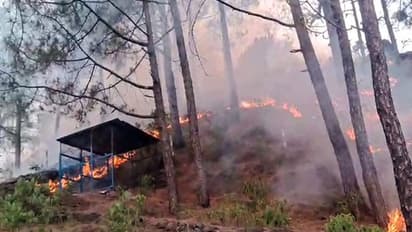 Rajouri (Jammu and Kashmir) forest fire ( Photo/ANI)