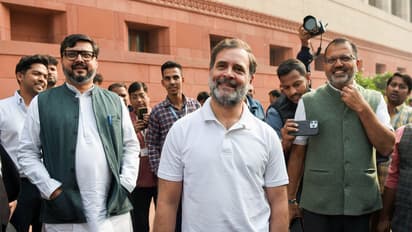 Lok Sabha LoP Rahul Gandhi (Photo/ANI)