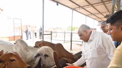 Gujarat Chief Minister Bhupendra Patel (Photo/CMO)
