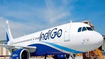 IndiGo aircraft (File Photo/ANI)