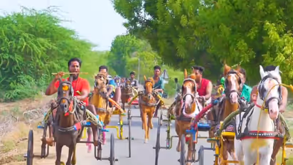 Horse cart race organised at Ariyanachi Temple in Rameswaram (Photo/ANI)