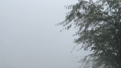 Taj Mahal not visible due to fog (Photo/ANI)