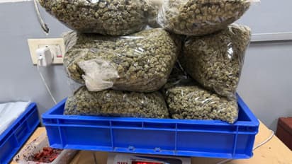 Vacuum-sealed packets suspected to contain Hydroponic Weed (Photo/Delhi Customs X handle)