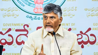 Andhra Pradesh CM Chandrababu Naidu (File Photo/ANI)