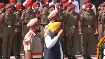Punjab Chief Minister Bhagwant Mann (Photo/ANI)