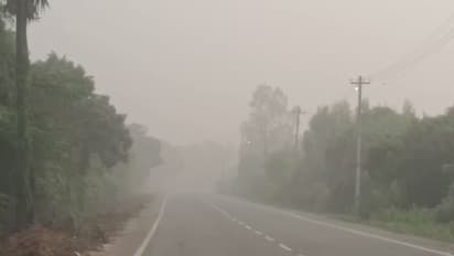 Heavy fog in Chengalpattu (Photo/ANI)