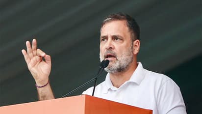 Lok Sabha LoP Rahul Gandhi (Photo/ANI)