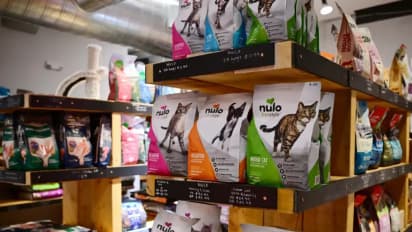 Wag! Group Stock Jumps After-Hours As Board Weighs Strategic Moves: Retail Bulls Pounce