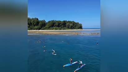 Surfers in action (Photo: SFI)