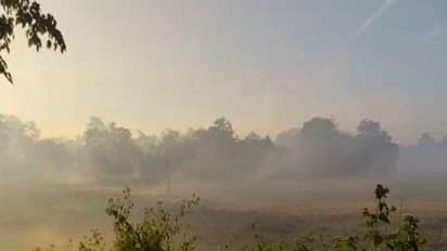 Visuals from Majuli, covered in dense fog (Photo/ANI)