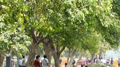 Representative Image (File Photo/ANI)
