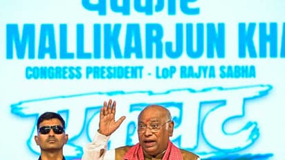 Congress president Mallikarjun Kharge (File Photo/ANI)