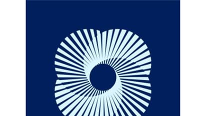 US-India Business Council (USIBC) (Photo: X/@USIBC)