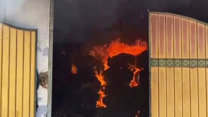 Fire breaks out at private factory in Thoothukudi (Photo/ANI)
