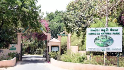 Indroda Nature Park (Zoo) in Gandhinagar (Photo/GujaratCMO)