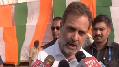 Congress leader Rahul Gandhi (Photo/ANI)