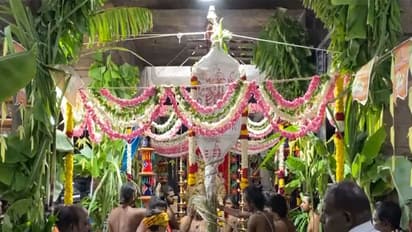 Aippasi Thirukalyanam celebration (Photo/ANI)