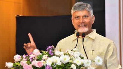 Andhra Pradesh Chief Minister N Chandrababu Naidu (Photo/X/@ncbn)