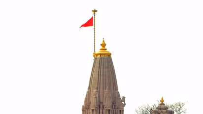 A view of the Ram Mandir (File Photo/ANI)