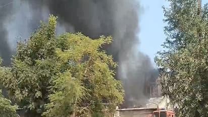 Still from the spot (Photo/ANI)