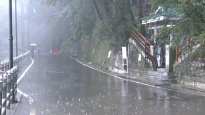 Visual of rain lashing in Shimla, Himachal Pradesh (Photo/ANI)