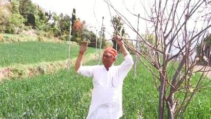 Farmer Sansar Chand (Photo/ANI)