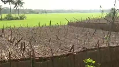 Viusal from Purba Medinipur West Bengal (Photo/ANI)