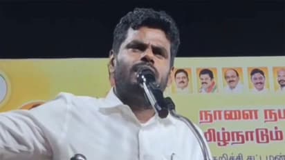 Former BJP State President K Annamalai (Photo/ANI)