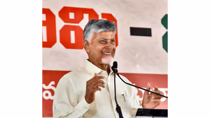 Andhra Pradesh Chief Minister Chandrababu Naidu (Photo/Andhra Pradesh CMO)