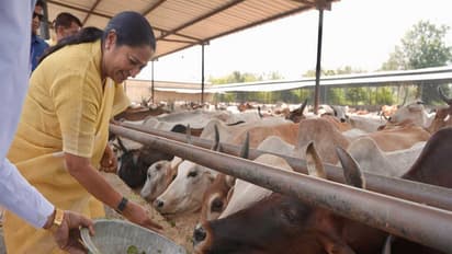 Delhi Chief Minister Rekha Gupta (Photo/@gupta_rekha)