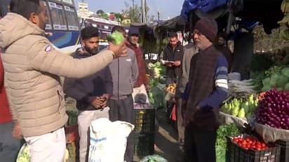 Organic produce in Sunderbani vegetable mandi (Photo/ANI)