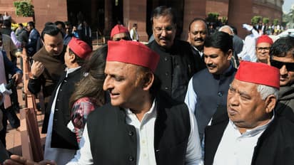 SP Chief Akhilesh Yadav (File Photo/ANI)