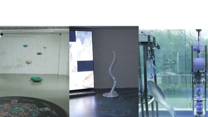 eco orot 's'Ocean Tears' and 'Plastic Mandala', Hyewon Kwon's'Liquid Vision', BOO Jihyun's 'Where is it going' (Photo/ANI)