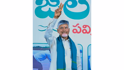 Andhra Pradesh CM Chandrababu Naidu (File Photo/ANI)