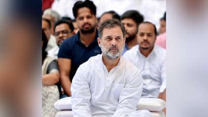 Congress MP and leader of Opposition in Lok Sabha (Photo/ANI)