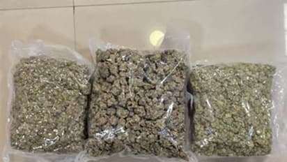 DRI officials seized 42.34 kg of hydroponic weed worth ₹42 crore concealed in food packets at Mumbai Airport (Photo/Ministry of Finance)