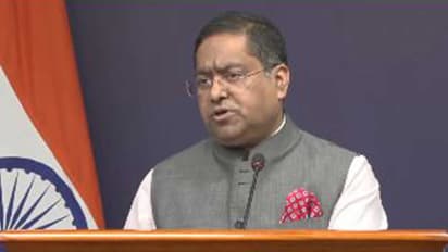 MEA Spokesperson Randhir Jaiswal (Photo/ANI)