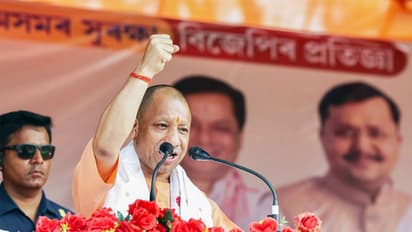 Uttar Pradesh Chief Minister Yogi Adityanath (File Photo/ANI)