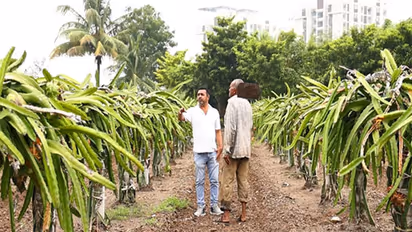 Representative Image (Photo/ANI)