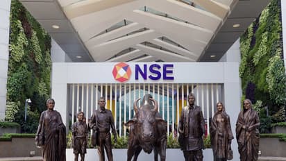 A view of the NSE atrium bull (File Photo/ANI)