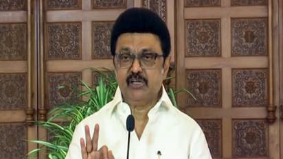 Tamil Nadu CM MK Stalin (Photo/ANI)